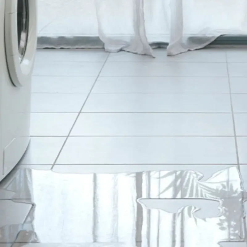 Appliance Leak Cleanup in Fisher, IL