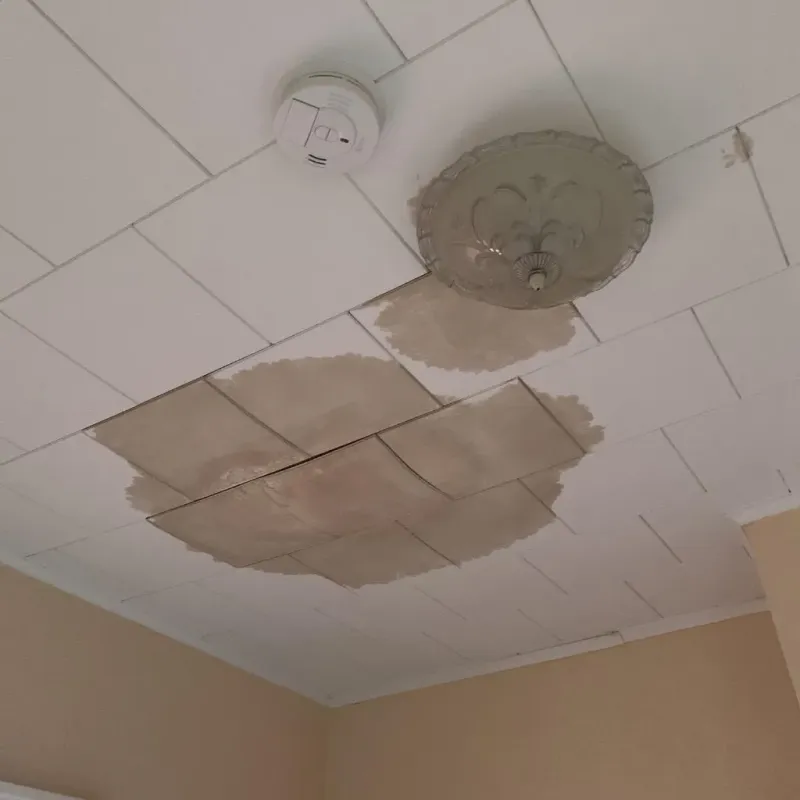 Ceiling Water Damage Repair in Fisher, IL
