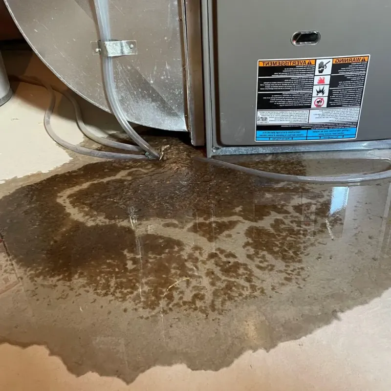Pipe Burst and Leak Restoration in Fisher, IL